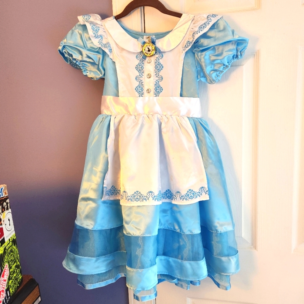 Alice and Wonderland Halloween or Dress up Costume